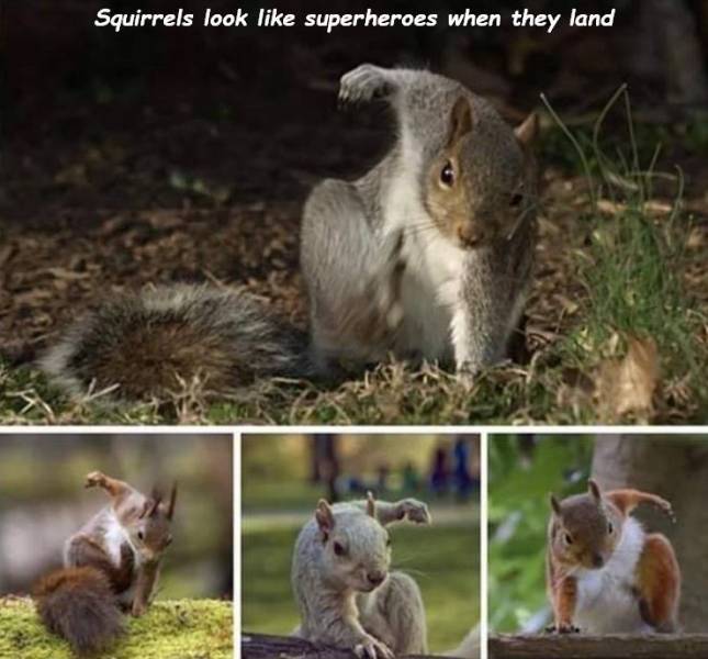 page,29,top 750 daily pics of the year 2019.html - 1 HD Photos | Premium Gallery 2019