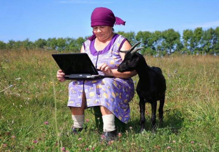 page,9,top 250 morning pics of the year 2019.html - 1 HD Photos | Premium Gallery 2019