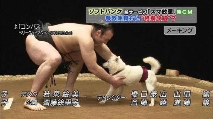 Sometimes You Just Can’t Explain…