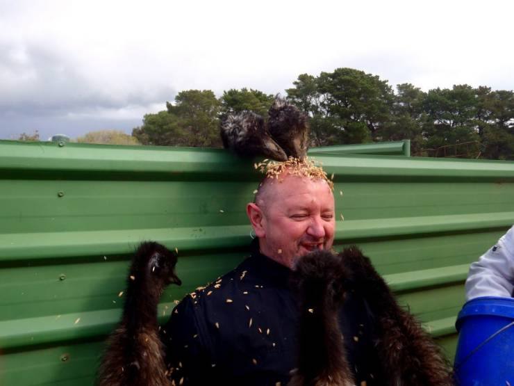 Sometimes You Just Can’t Explain…