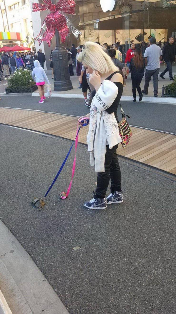 Sometimes You Just Can’t Explain…