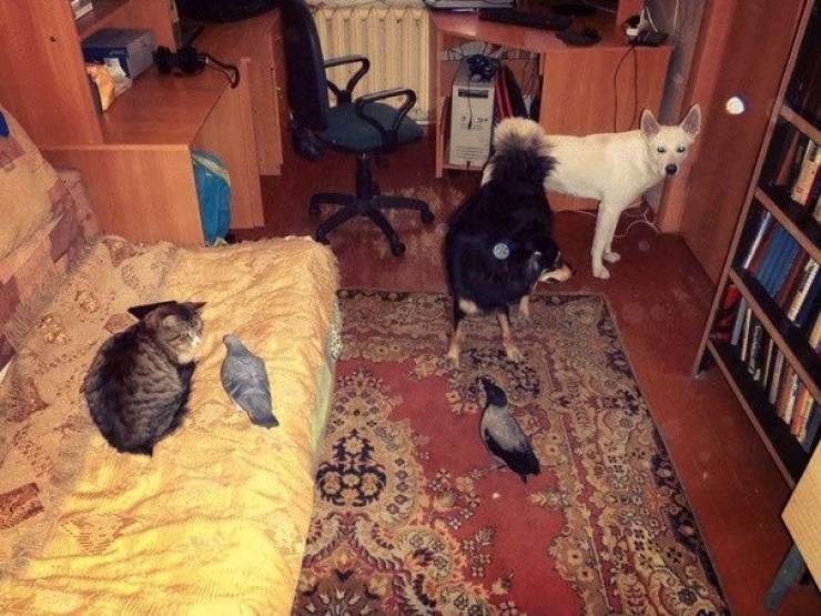 daily picdump 96 pics 45.html - 96 HD Photos | Premium Gallery 2019