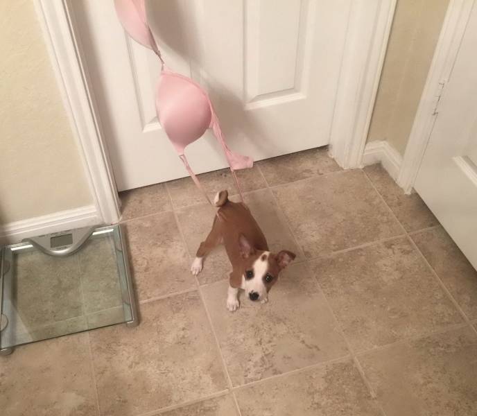 daily picdump 96 pics 45.html - 96 HD Photos | Premium Gallery 2019