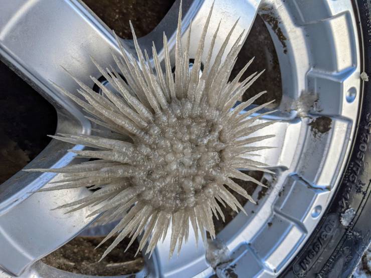 daily picdump 96 pics 45.html - 96 HD Photos | Premium Gallery 2019