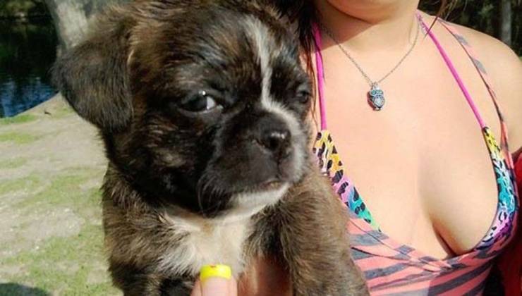 daily picdump 96 pics 45.html - 96 HD Photos | Premium Gallery 2019