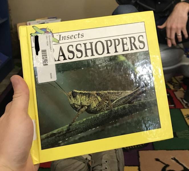 daily picdump 96 pics 45.html - 96 HD Photos | Premium Gallery 2019