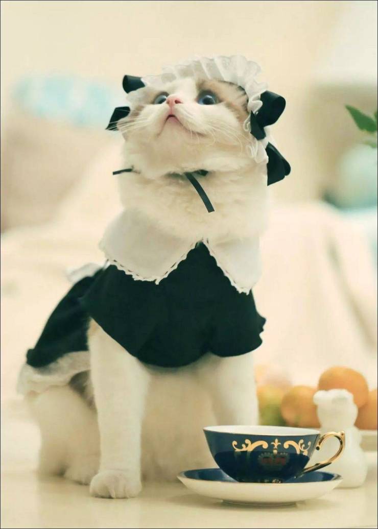 daily picdump 96 pics 45.html - 96 HD Photos | Premium Gallery 2019