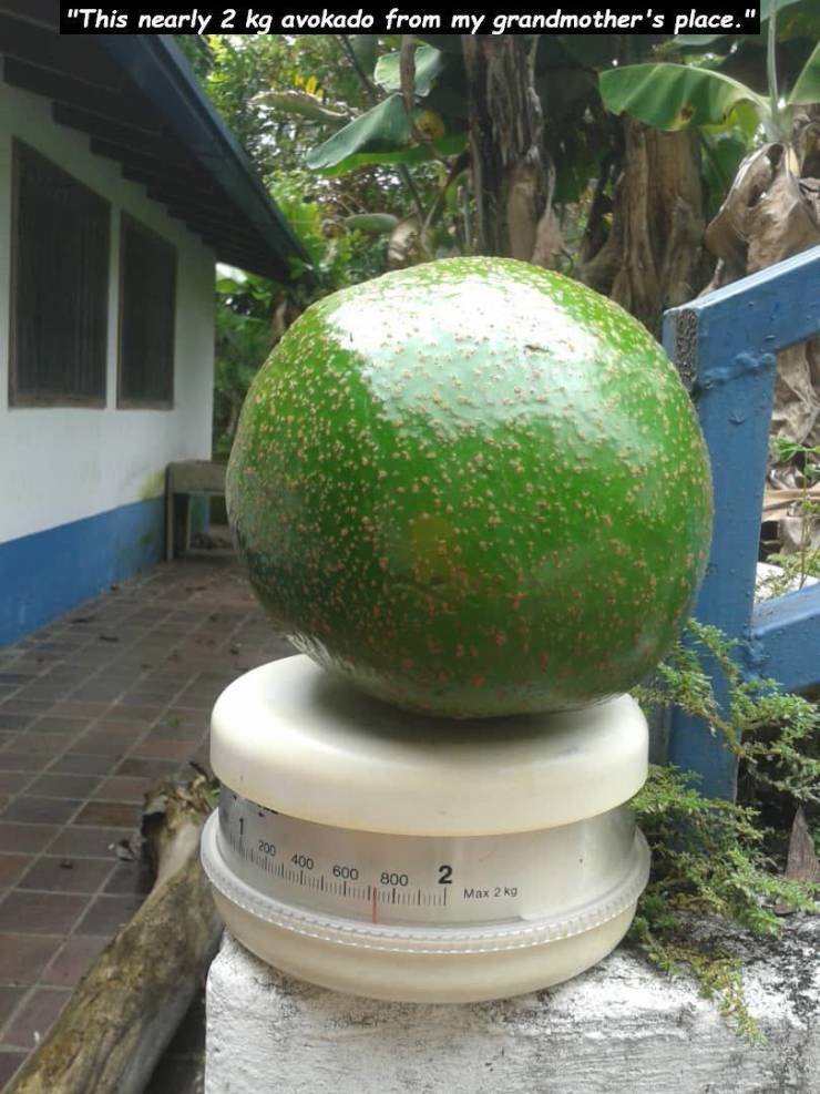 daily picdump 96 pics 45.html - 96 HD Photos | Premium Gallery 2019