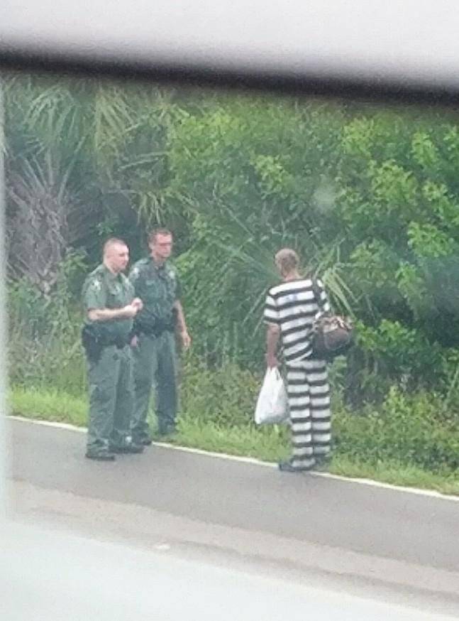 daily picdump 96 pics 45.html - 96 HD Photos | Premium Gallery 2019