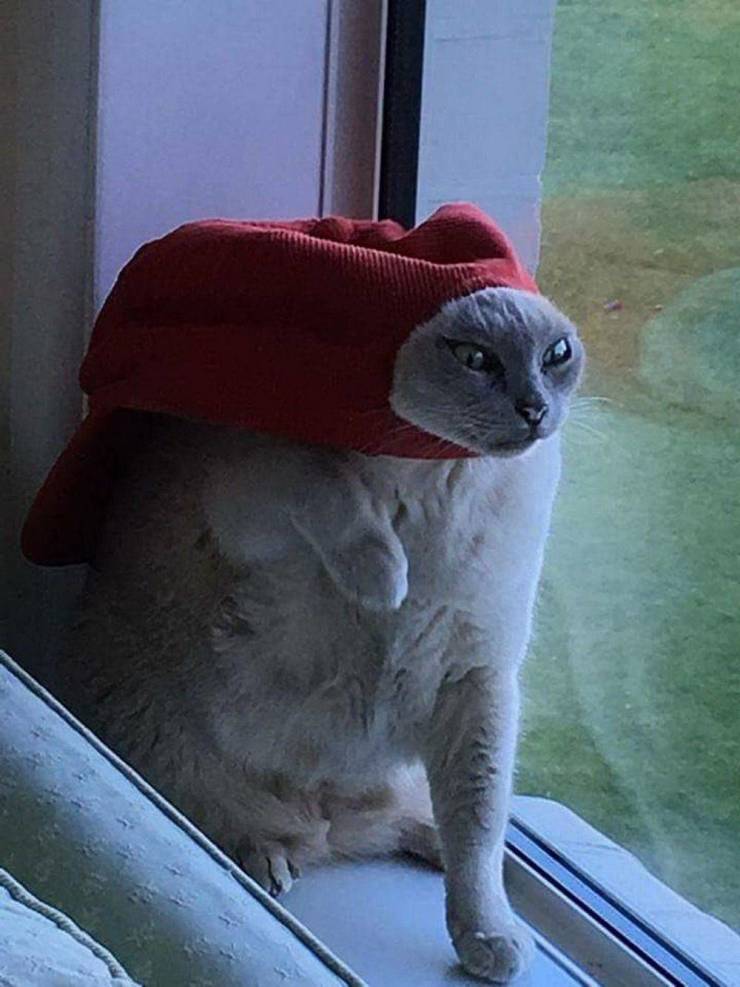 daily picdump 96 pics 45.html - 96 HD Photos | Premium Gallery 2019