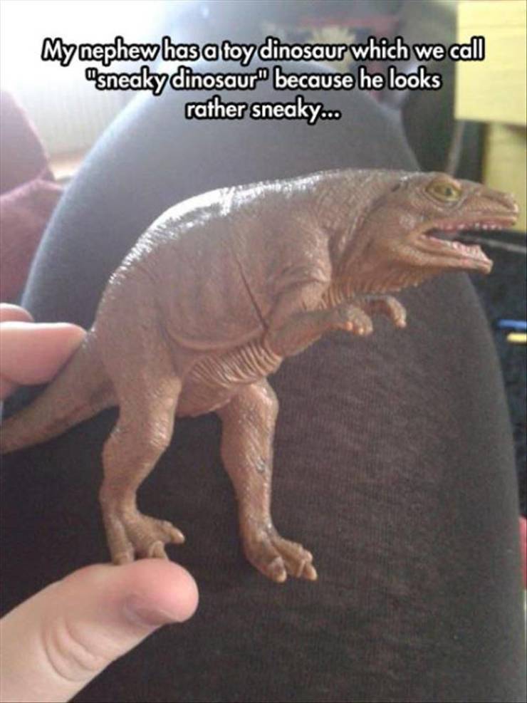 daily picdump 96 pics 45.html - 96 HD Photos | Premium Gallery 2019