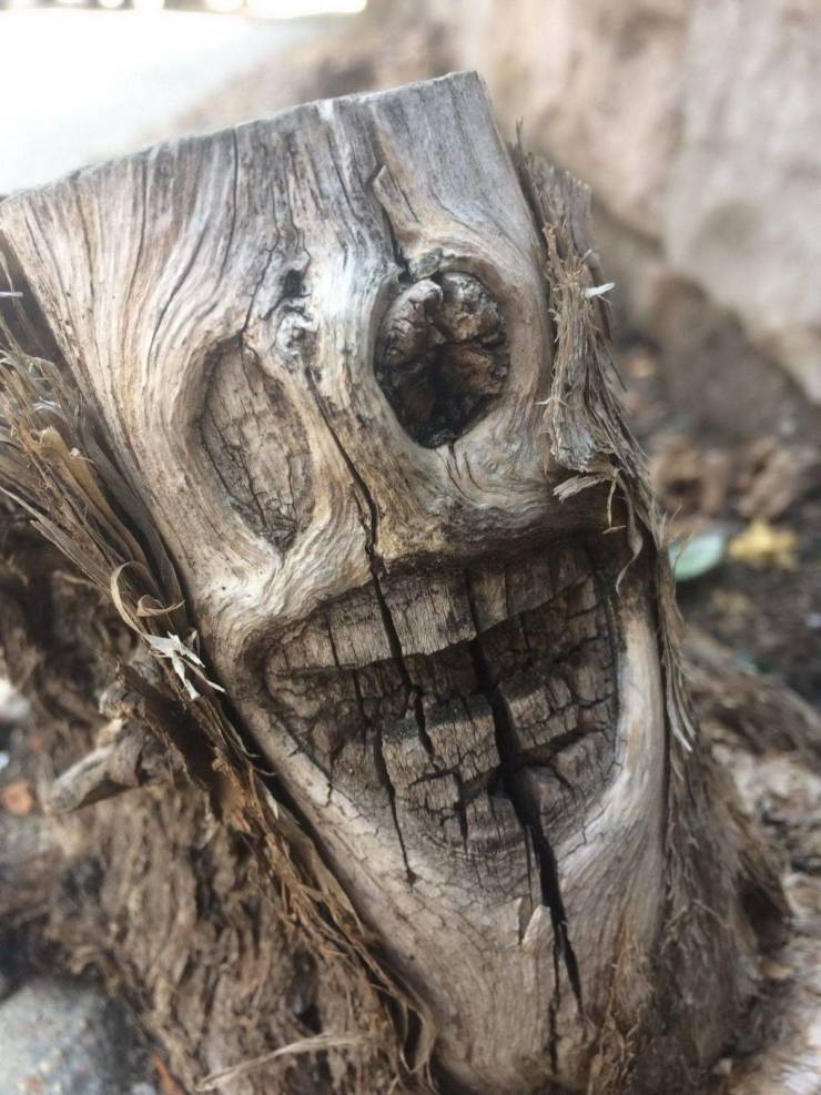 daily picdump 96 pics 45.html - 96 HD Photos | Premium Gallery 2019