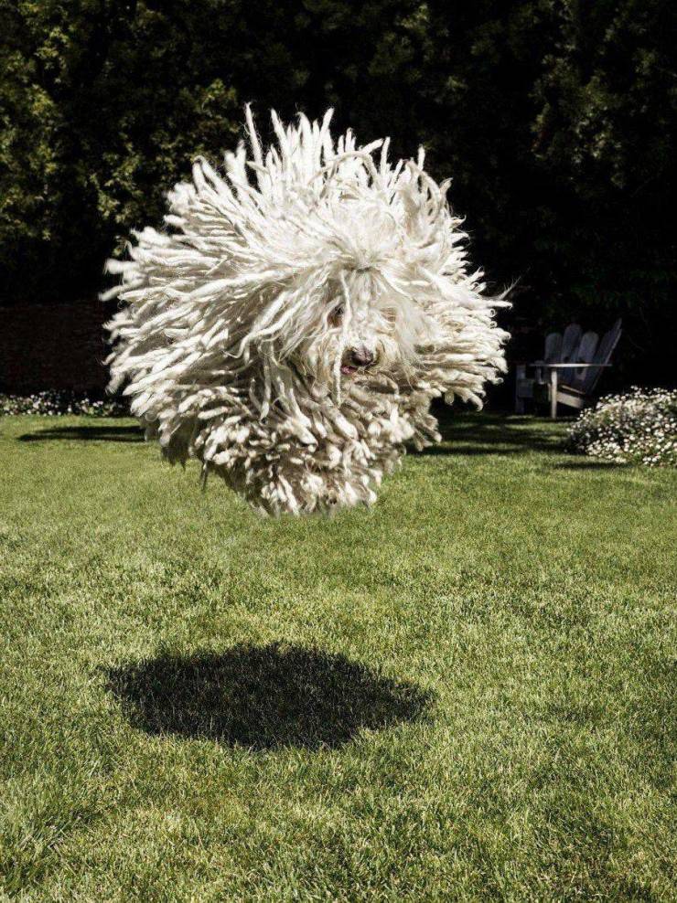 daily picdump 96 pics 45.html - 96 HD Photos | Premium Gallery 2019