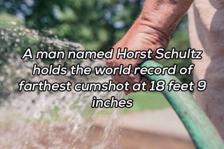 It’s Always Time For NSFW Facts!