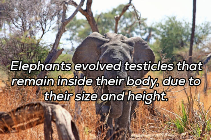 It’s Always Time For NSFW Facts!