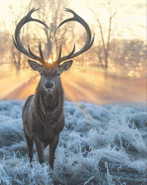 top 250 morning pics of the year 2019.html - 1 HD Photos | Premium Gallery 2019