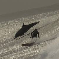 lola astanova knows the melody of mens hearts 33 pics.html - 33 HD Photos | Premium Gallery 2018