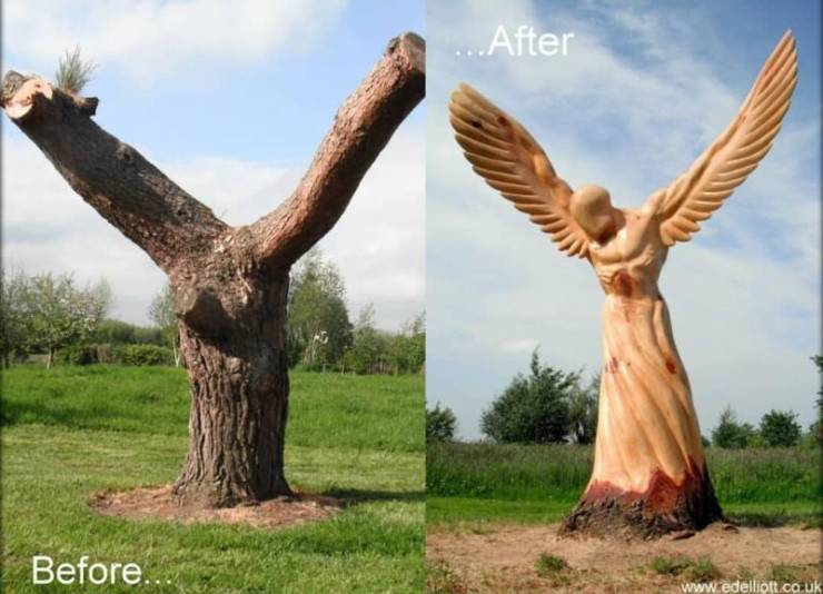 page,29,top 750 daily pics of the year 2019.html - 1 HD Photos | Premium Gallery 2019