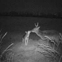 there is nothing sexier than hot girls in lingerie 59 pics.html - 59 HD Photos | Premium Gallery 2020