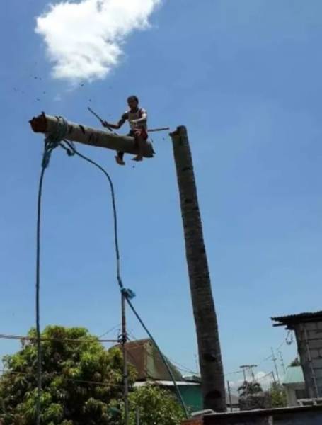 top 100 posts of the year 2019.html - 1 HD Gallery | Premium Gallery 2019