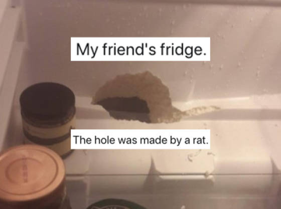 page,5,top 100 posts of the year 2019.html - 1 HD Gallery | Premium Gallery 2019