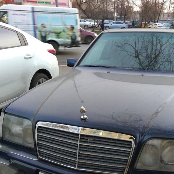 page,18,top 750 daily pics of the year 2019.html - 1 HD Photos | Premium Gallery 2019