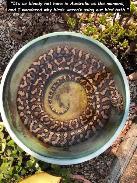 page,30,top 750 daily pics of the year 2019.html - 1 HD Photos | Premium Gallery 2019