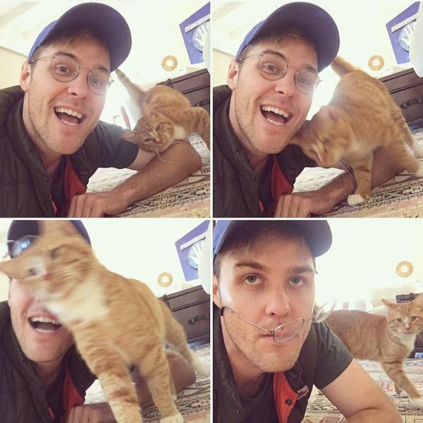 daily picdump 98 pics 41.html - 98 HD Photos | Premium Gallery 2019