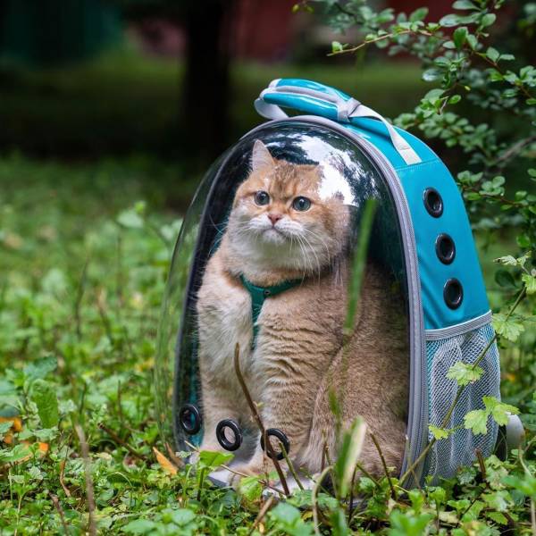 daily picdump 98 pics 41.html - 98 HD Photos | Premium Gallery 2019