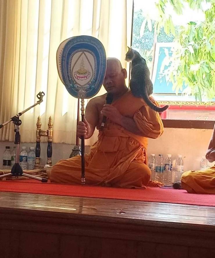 daily picdump 98 pics 41.html - 98 HD Photos | Premium Gallery 2019