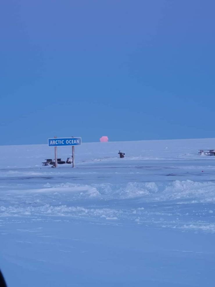 daily picdump 98 pics 41.html - 98 HD Photos | Premium Gallery 2019