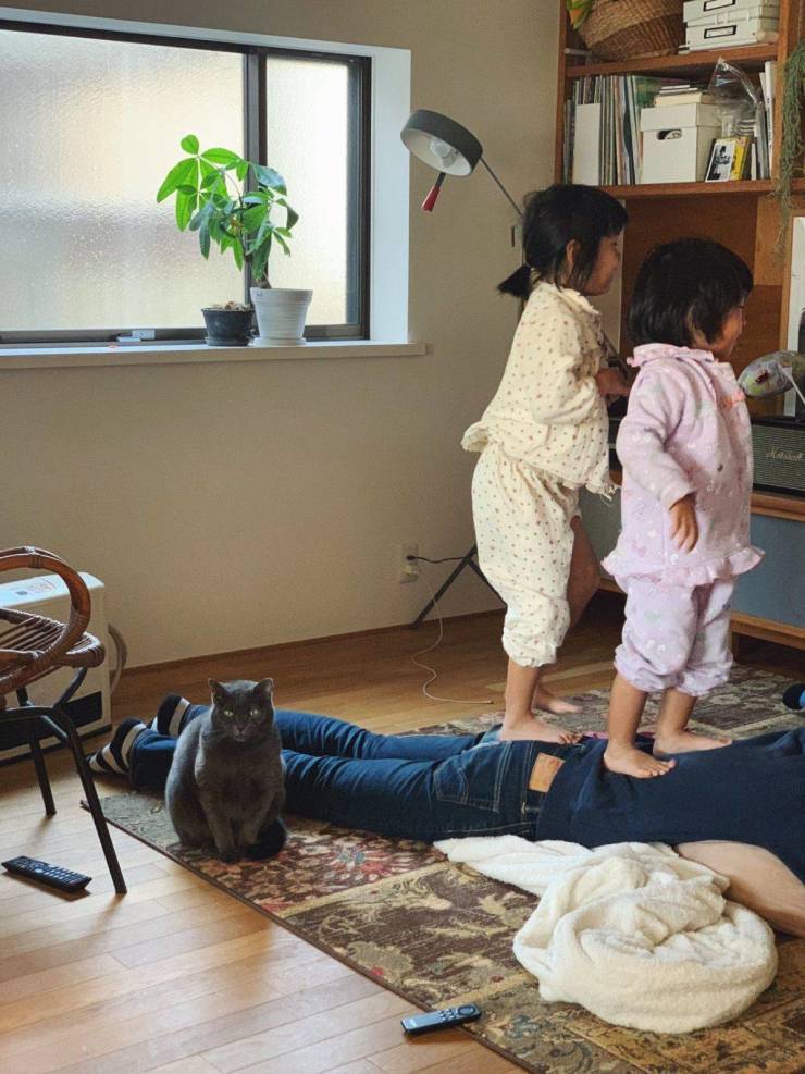 daily picdump 98 pics 41.html - 98 HD Photos | Premium Gallery 2019