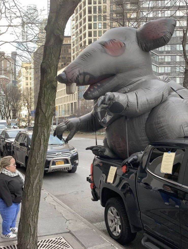 daily picdump 98 pics 41.html - 98 HD Photos | Premium Gallery 2019