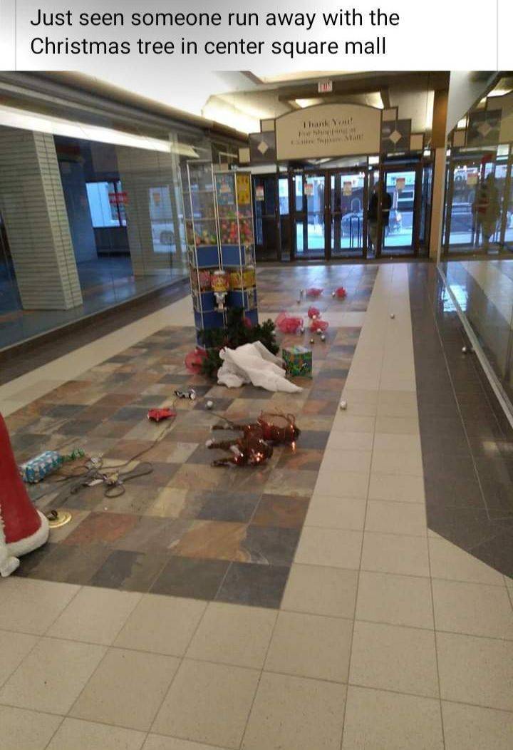 daily picdump 98 pics 41.html - 98 HD Photos | Premium Gallery 2019