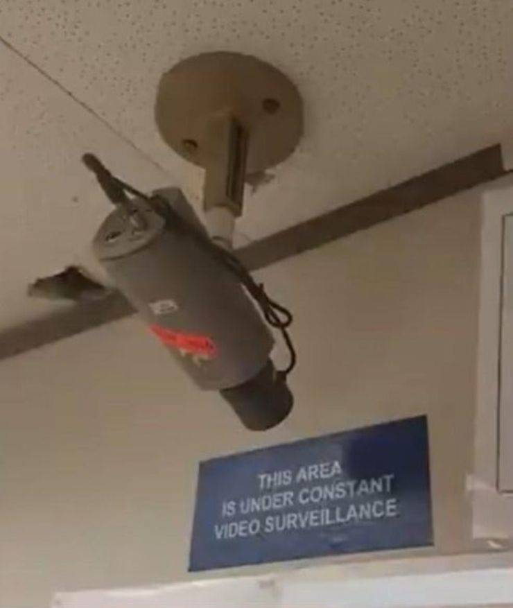 daily picdump 98 pics 41.html - 98 HD Photos | Premium Gallery 2019