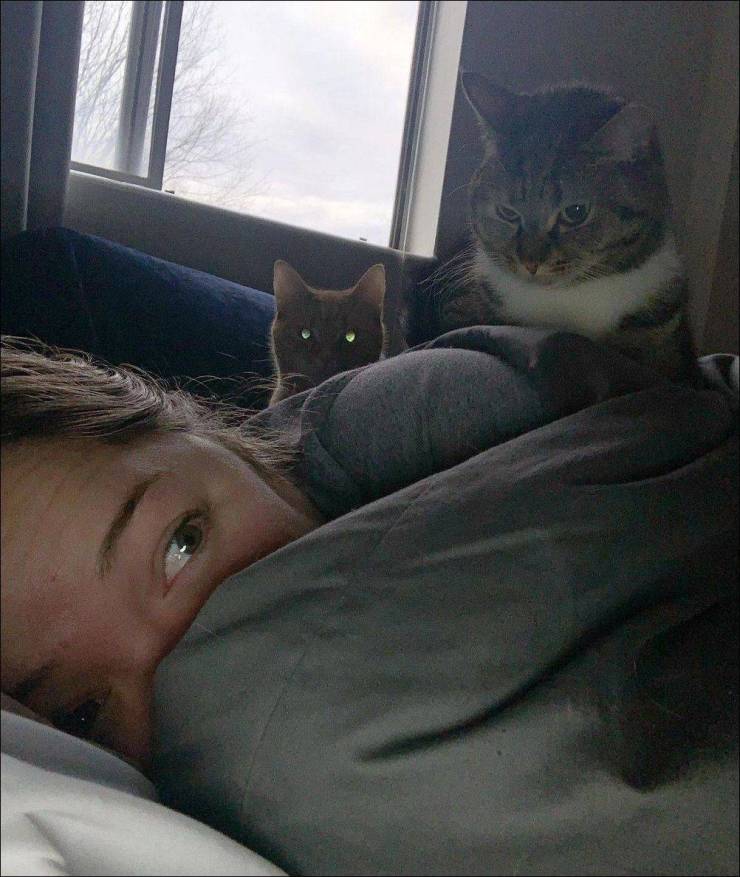 daily picdump 98 pics 41.html - 98 HD Photos | Premium Gallery 2019