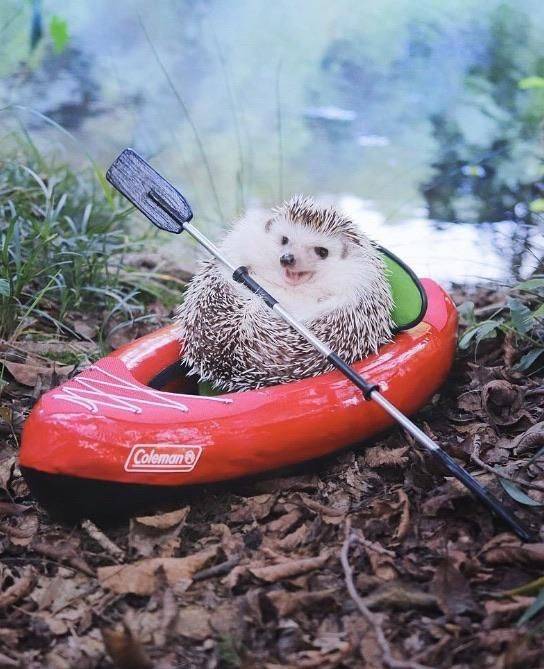 daily picdump 98 pics 41.html - 98 HD Photos | Premium Gallery 2019