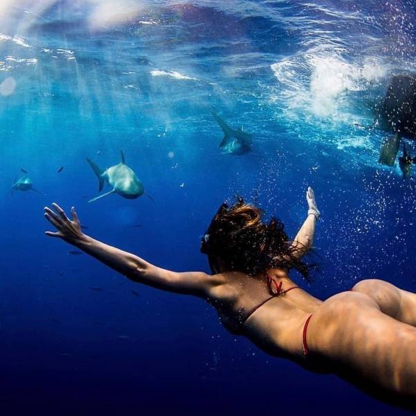 grownup corner 71 pics 7.html - 71 HD Photos | Premium Gallery 2019