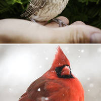 russian girls join the lingerie challenge video.html - 1 HD Video | Premium Gallery 2020