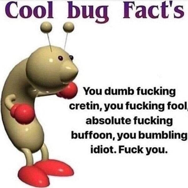 Okay, You Laughed Again…