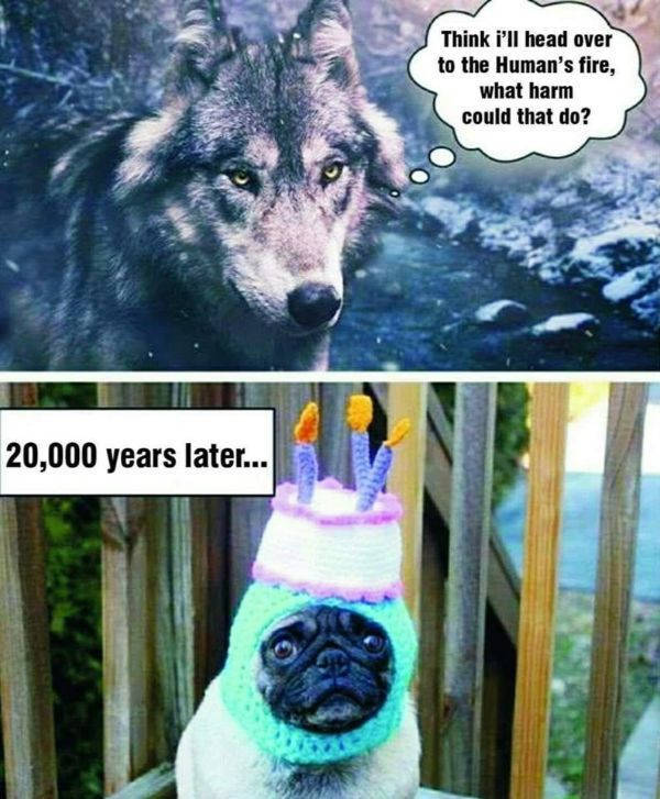 Okay, You Laughed Again…