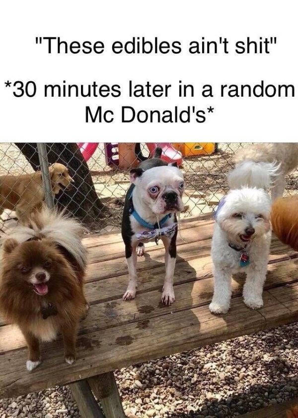 Okay, You Laughed Again…