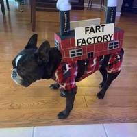 you dont need your bra 56 pics.html - 56 HD Photos | Premium Gallery 2020