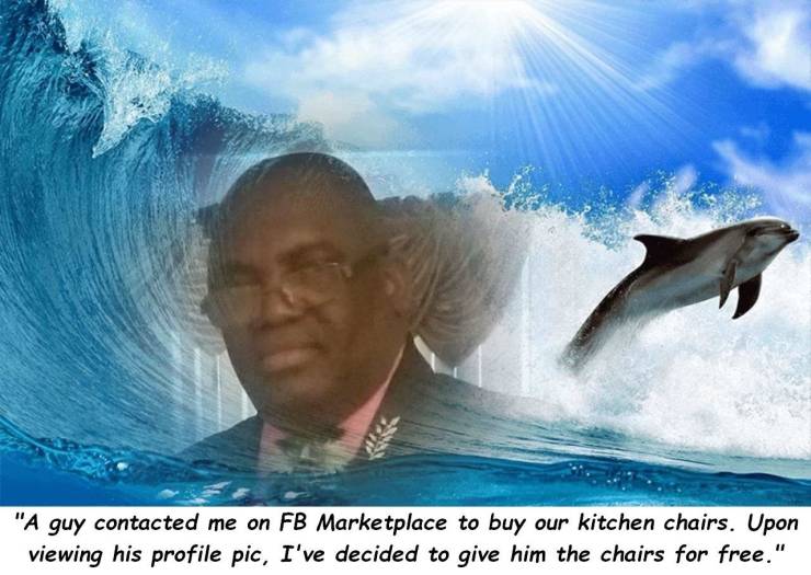 funny picdump 52 pics 13.html - 52 HD Photos | Premium Gallery 2020