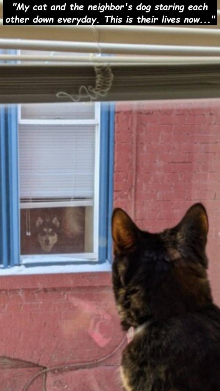 funny picdump 52 pics 13.html - 52 HD Photos | Premium Gallery 2020