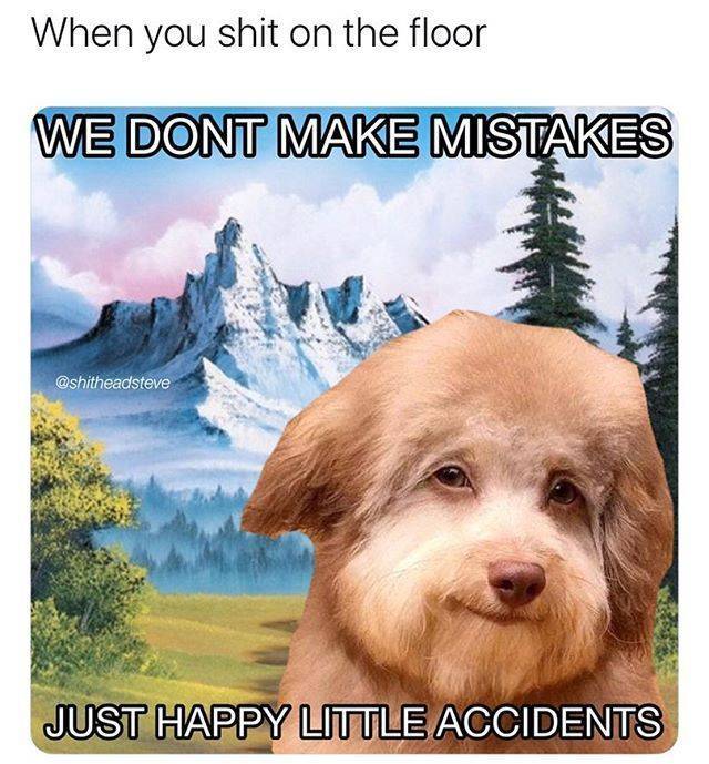 funny picdump 52 pics 13.html - 52 HD Photos | Premium Gallery 2020