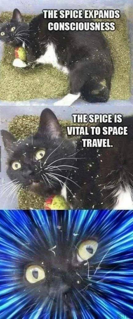 funny picdump 52 pics 13.html - 52 HD Photos | Premium Gallery 2020