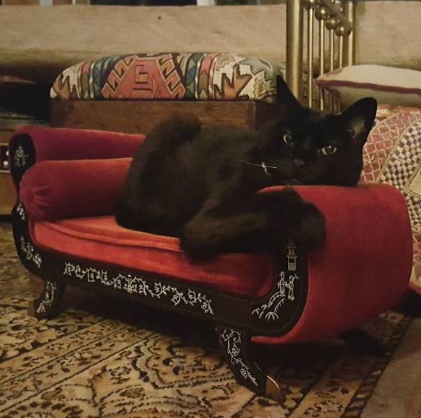 People Who Got Lucky In Thrift Stores