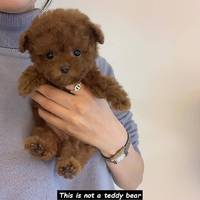 thats a dangerous biker video.html - 1 HD Video | Premium Gallery 2020