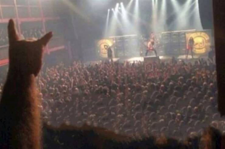 Perspective Can Deceive You